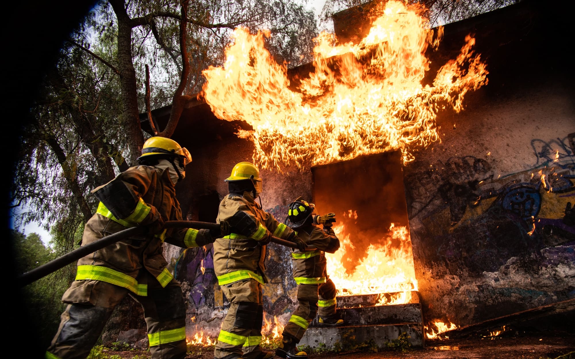 IBHS Wildfire Prepared Home Certification & Emergency Restoration Services