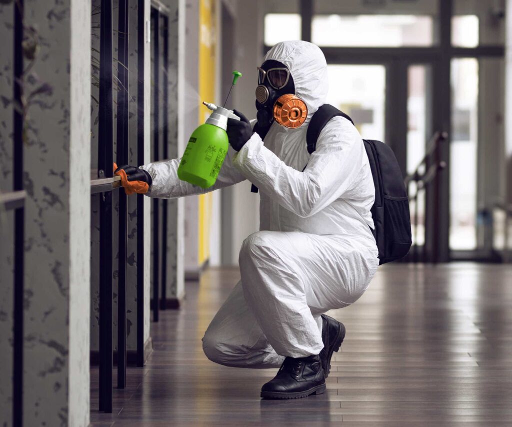 black mold removal los angeles