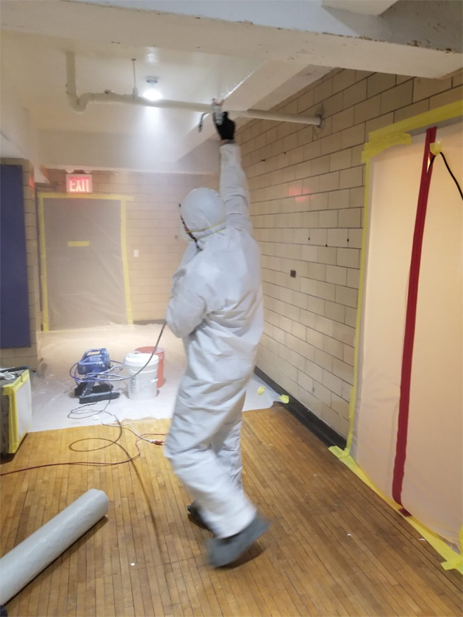 Mold removal los angeles ca